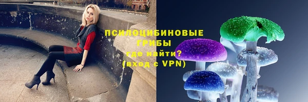 молекула духа Покровск