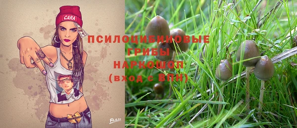хмурый Абаза