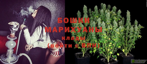 хмурый Абаза