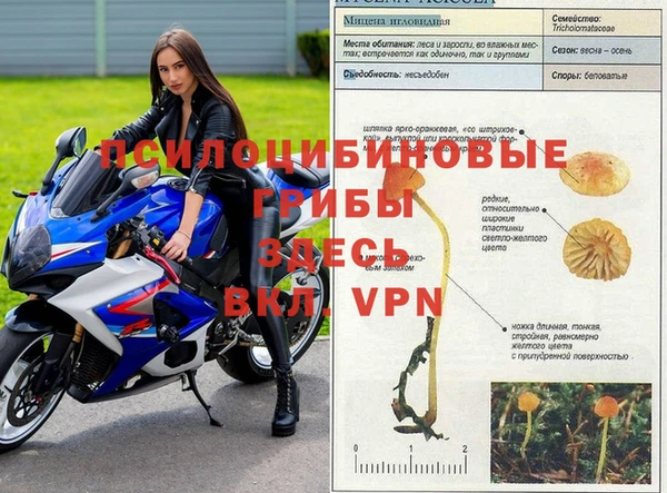 мдпв Абдулино