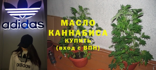молекула духа Покровск