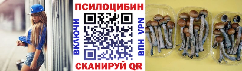 Галлюциногенные грибы прущие грибы  даркнет сайт  darknet официальный сайт  Спас-Клепики 