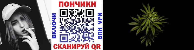 где купить наркоту  Спас-Клепики  OMG ссылка  Шишки марихуана OG Kush 